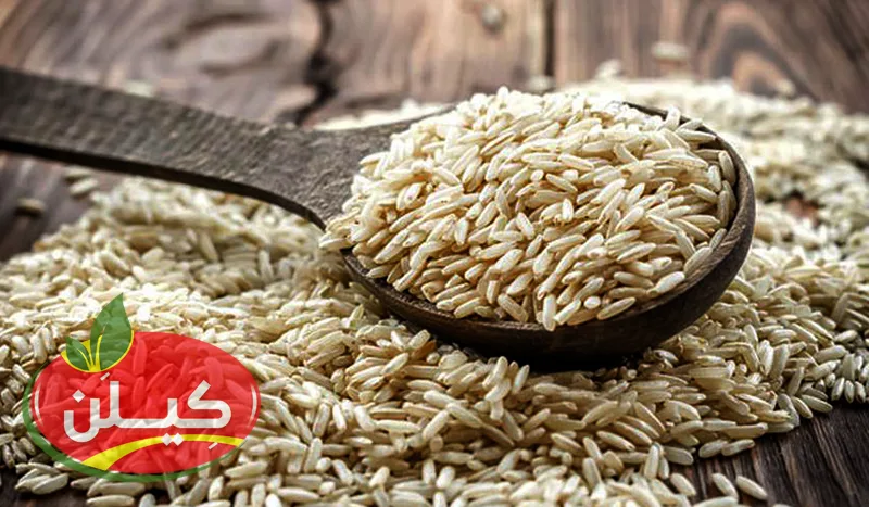 چرا قیمت برنج گران شد