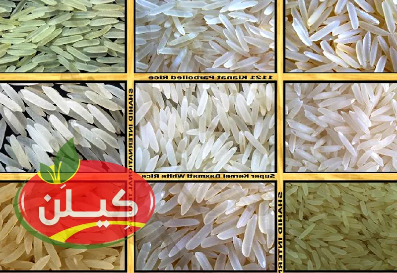 تفاوت برنج ایرانی با برنج هندی و برنج پاکستانی