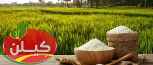 چرا برنج ایرانی از برنج خارجی بهتر است